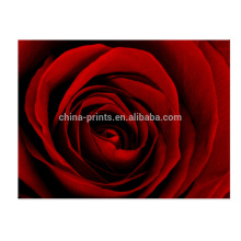 Salon Décor mural Red Rose Image Art Impression sur toile étirée Prêt à accrocher